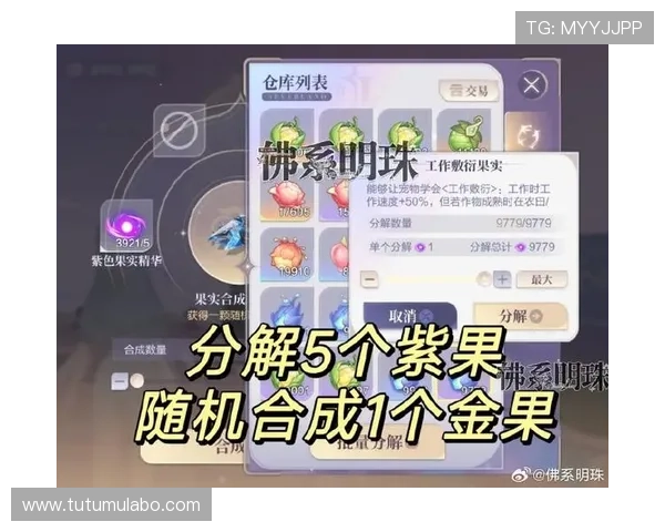 在k8凯发版官网了解最新的游戏攻略与技巧,提升你的竞技水平 在k8凯发版官网了解最新的游戏攻略与技巧,提升你的竞技水平